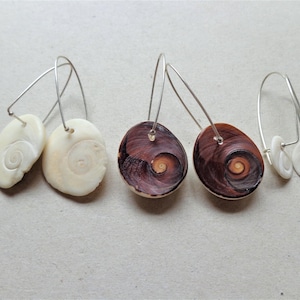 May include: A selection of handmade earrings with natural seashell pendants. The earrings display a range of colours, including creamy white and dark brown, with detailed spiral designs. Each earring is suspended from a fine silver wire.