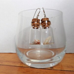 Pendientes de terrario Beach in the bottle: plata de ley, conchas marinas australianas imagen 12