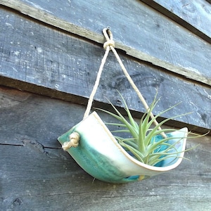 May include: A curved, teal and white ceramic wall planter suspended by a thick, natural-coloured jute rope. The planter holds a single, spiky green air plant with long, thin leaves. The ceramic surface features a smooth, glossy glaze finish.