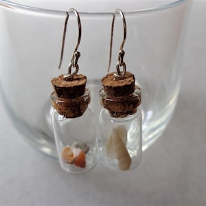Pendientes de terrario Beach in the bottle: plata de ley, conchas marinas australianas imagen 9