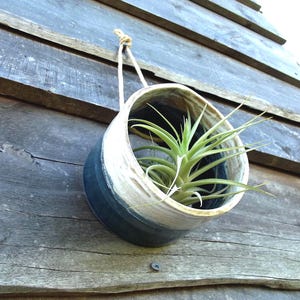 May include: A cylindrical ceramic wall planter featuring a two-tone design with a dark blue base and a cream-coloured top rim. A light-coloured rope is attached to the top for hanging. A green air plant with thin, pointed leaves sits inside the planter.