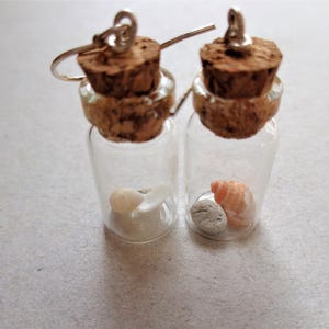 Pendientes de terrario Beach in the bottle: plata de ley, conchas marinas australianas imagen 5