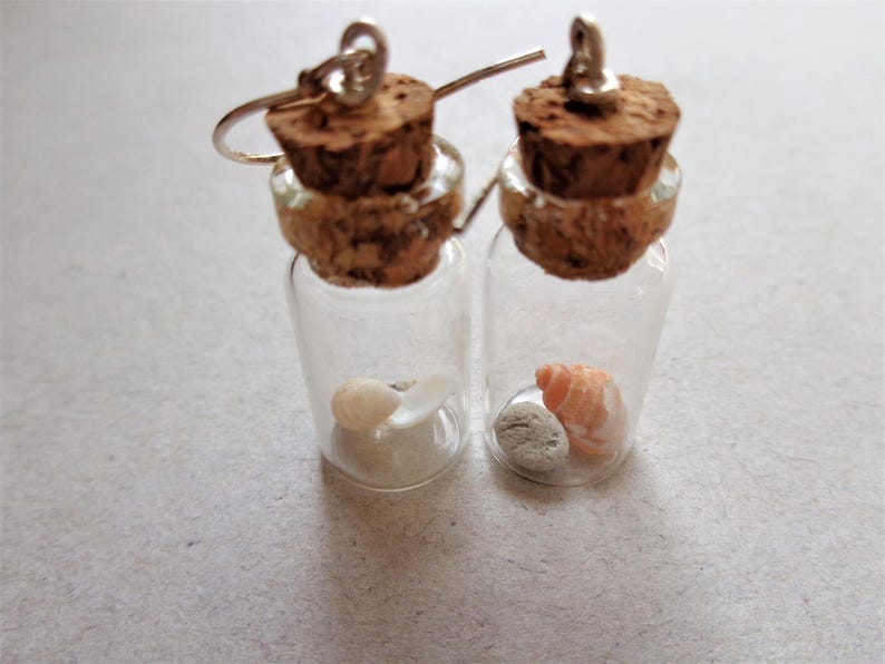 Pendientes de terrario Beach in the bottle: plata de ley, conchas marinas australianas imagen 5