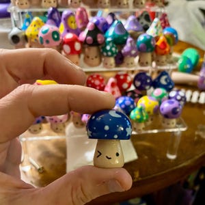Mystery Miniature Mushroom - Fairy Garden Mushrooms