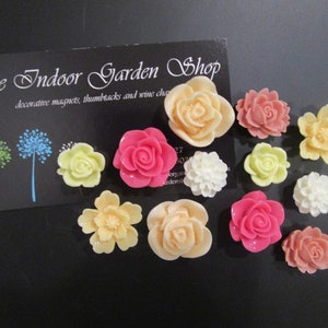 Office Supply Kitchen Decor Girls Room Flowers Magnets Rhinestones White Dusty Rose Champagne Rhinestone Peach Small Gifts 12 pc