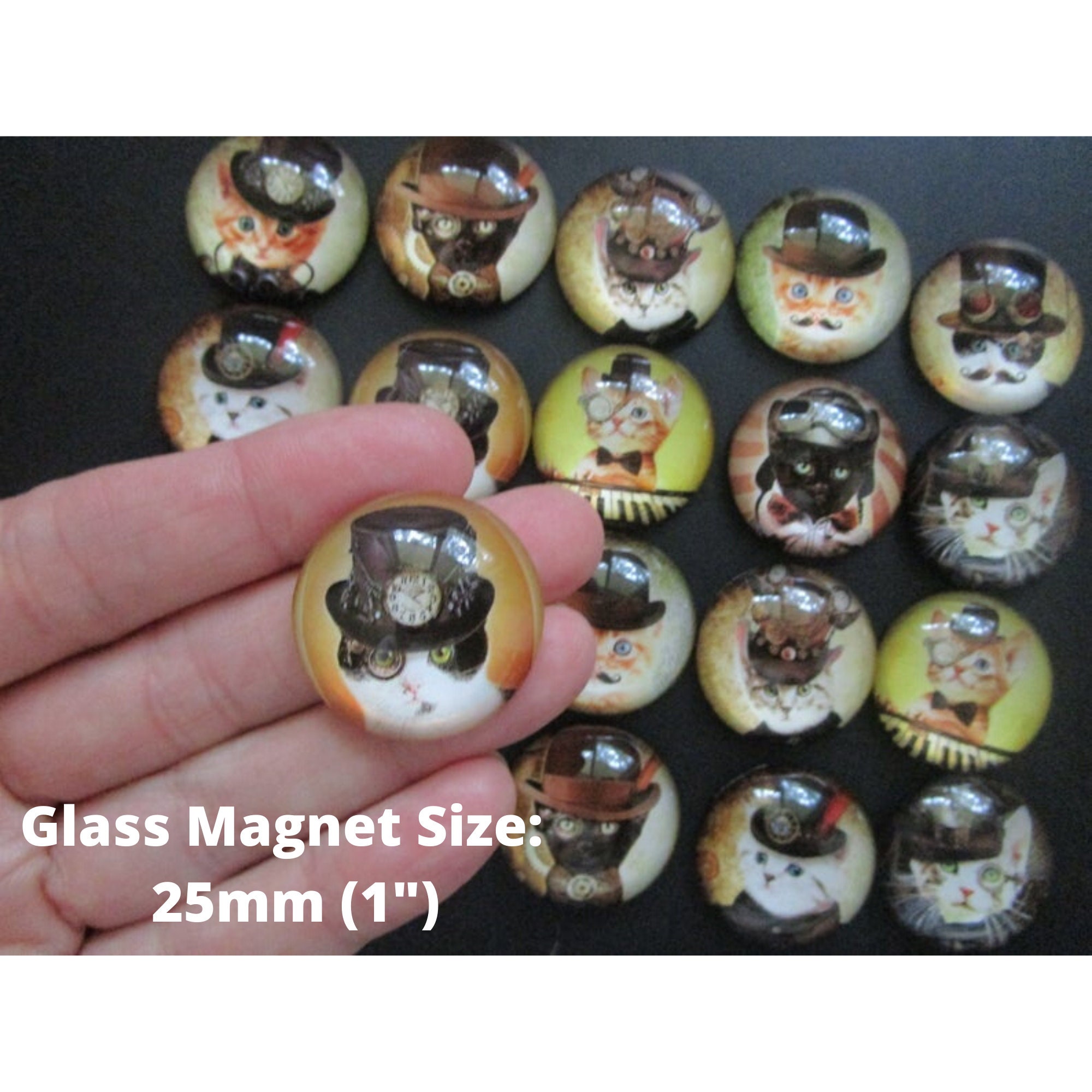 Funny Cat 6 to 12 Strong Fridge 1 Etsy