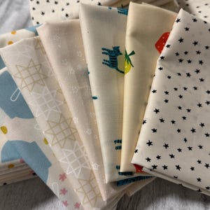 Curated Low Volume Novelty Stash Builder - Ruby Star Society | (6 FQs)