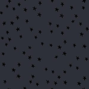 Starry New Charcoal - Ruby Star Society Fabric by Alexia Abegg