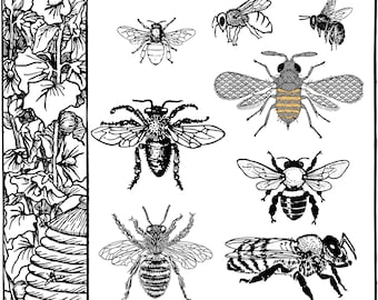 20+ Bee / Honey Bee Themed SVG Vector Digital Image Files for Laser Engraving on Glowforge + More