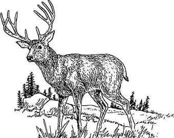 14 Deer Line Art Collection of SVG Vector Digital Image Files for Laser Engraving on Glowforge + More