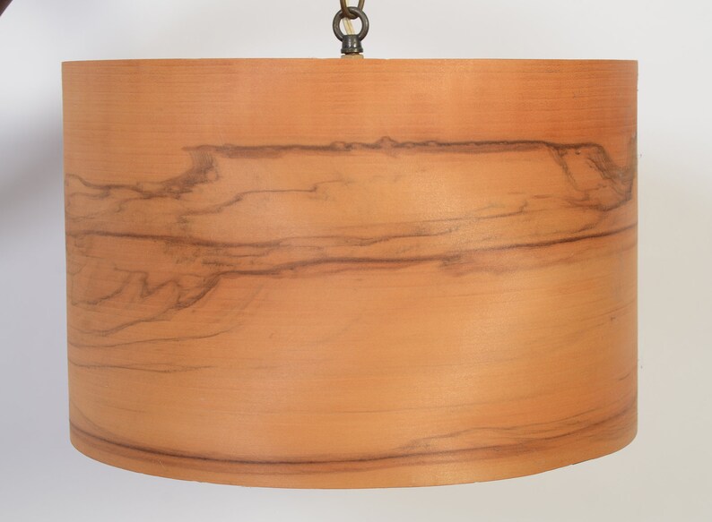 Walnut Wall Lamp Swing Arm Sconce Mid Century Modern image 3