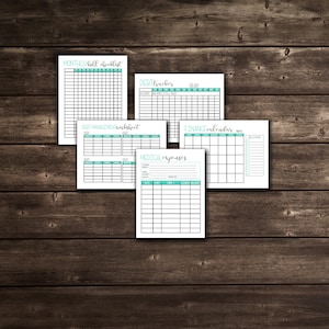 Budgetutskrifter, Finansplanerare, PDF-utskrivbar budgetplanerare, 14 sidor, US Letter-storlek och Half Letter-storlek, direktnedladdning, redigerbar bild 2