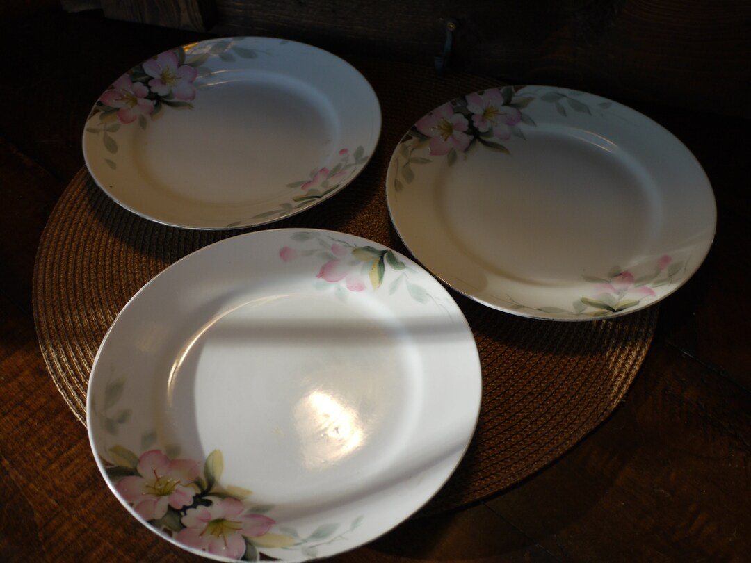 Hand Painted Japanese China Plates rising Sun Etsy