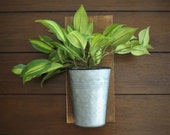 Wall Planter with Greenery Farmhouse Rustic Cottage Country Decor Country Living Hanging Sconce Galvanized Pail with Vanilla Orchid
