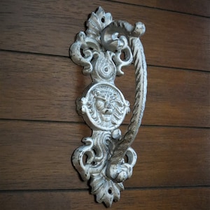 May include: A silver door knocker with a lion's face and ornate scrollwork.