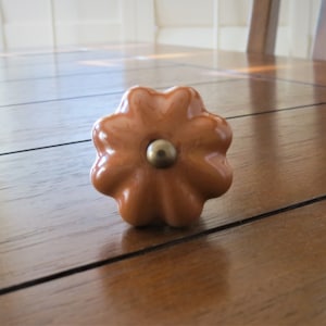 Könnte beinhalten: Ein brauner Keramik-Schrankknopf in Blumenform mit goldener Mitte.