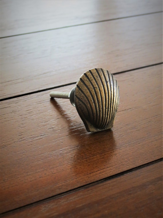 Clam Shell Shaped Knobs Drawer Dresser Knobs Handles Sea Etsy