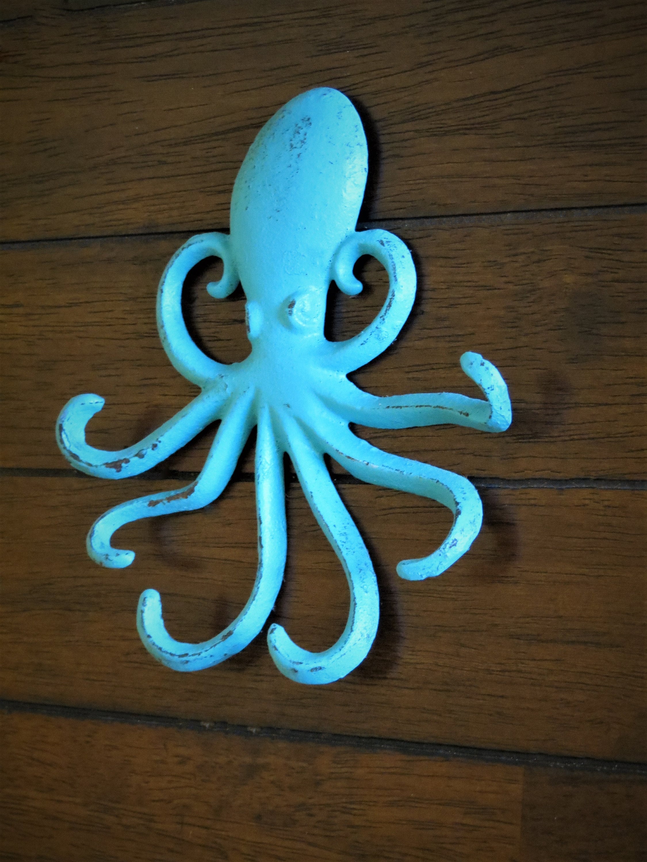 Octopus Cast Iron Wall Hook / Coastal or Beach House Decor / Whimsical  Metal Wall Art / Turquoise or Pick Color / Pool Hook / Sea Accent -   Canada