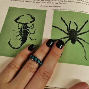 May include: A silver ring featuring a row of small, round, bright blue turquoise stones set in metal beads. The ring is worn on a finger with black nail polish, positioned over a book page displaying illustrations of a scorpion and a tarantula.