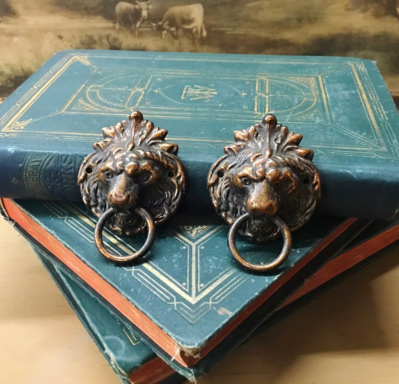 Lion Drawer Pulls Antique Copper 2 Victorian Dresser Drawer Etsy