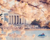 Jefferson Memorial 5x7 Photo Print, Washington DC Cherry Blossom and Architecture Photography