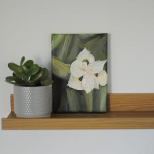 El Salvador Floral