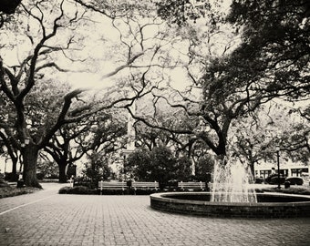 Digital Download-Fine Art Photography- Savannah  Black and White Photograph- Southern Art- Urban-Park-Johnson Square-Fountain-Trees-Grey