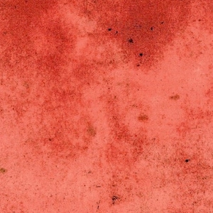 Tim Holtz Provisions Rost