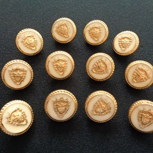 May include: Twelve round, white, decorative buttons with gold trim and a gold crest design.