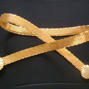 May include: A gold-tone chain belt with two decorative shell-shaped clasps. The belt is made of a woven metal mesh.
