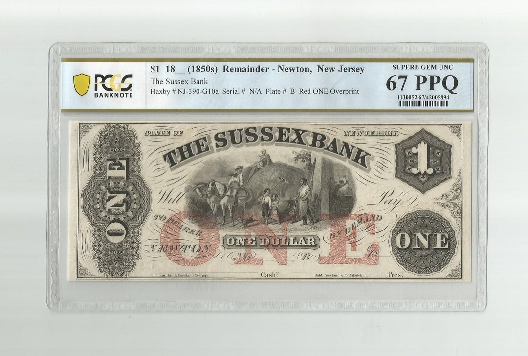 【美品 １冊だけ】A currency options primer 1976 Authenticated Brilliant Uncirculated Eisenhower Dollar