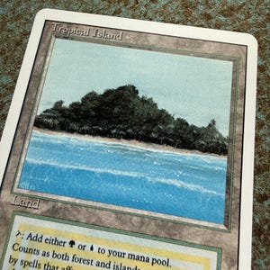 Tropical Island Mtg - Etsy