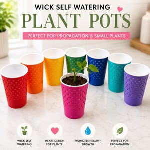 Self Watering Plant Pot | Wick Watering Planter | Propagation Pot | Small Houseplant Planter | Cute Heart Planter