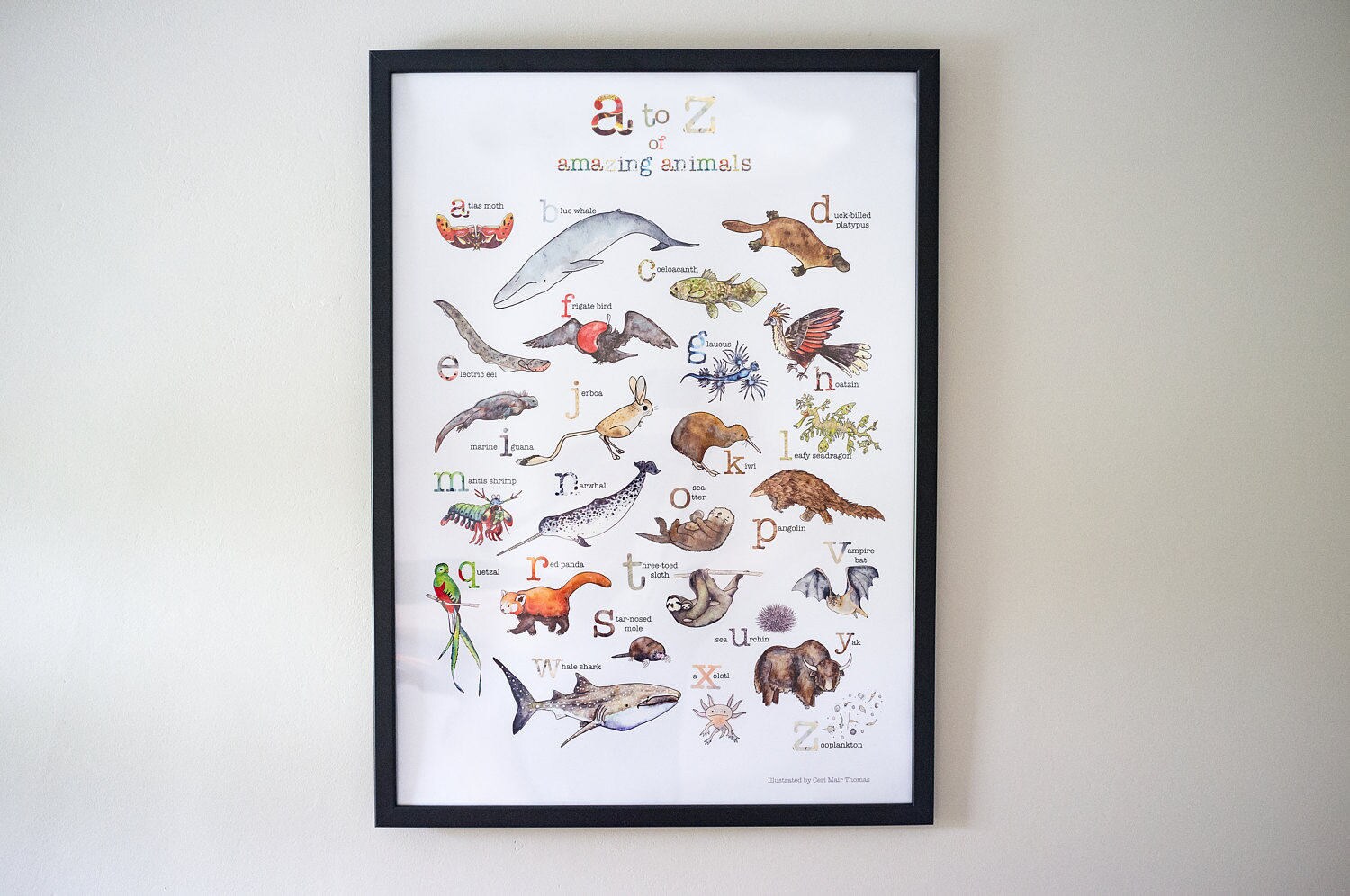 A to Z of Amazing animals. Alphabet of weird and unusual | Etsy