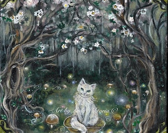 Fairy cat