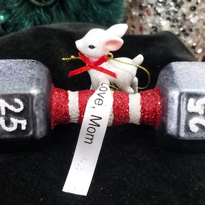 Blown Glass Dumbbell 25 Pound Weight Christmas Ornament - Personalized Gift