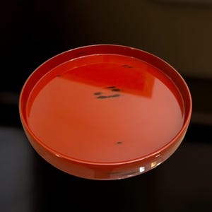 以下が含まれることがあります： 光沢のある仕上がりの丸い赤いサービングトレイ。トレイにはわずかに盛り上がった縁と滑らかで反射する表面があります。表面にはいくつかの小さな黒い点があります。トレイは暗い背景に配置されています。