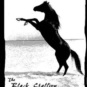 Bucephalus Pendant from Black Stallion film Sterling Silver. Fantastic Collectible Classic image 6