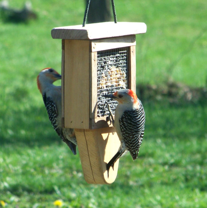 Suet Hanging Outdoor Feeder Mother S Day Gift Free Etsy