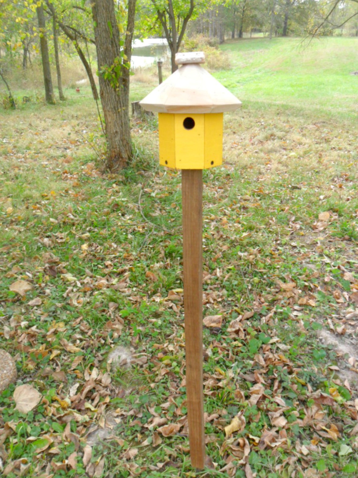 Rustic Birdhouse and Wood Pole Bird house on Pole Outdoor | Etsy