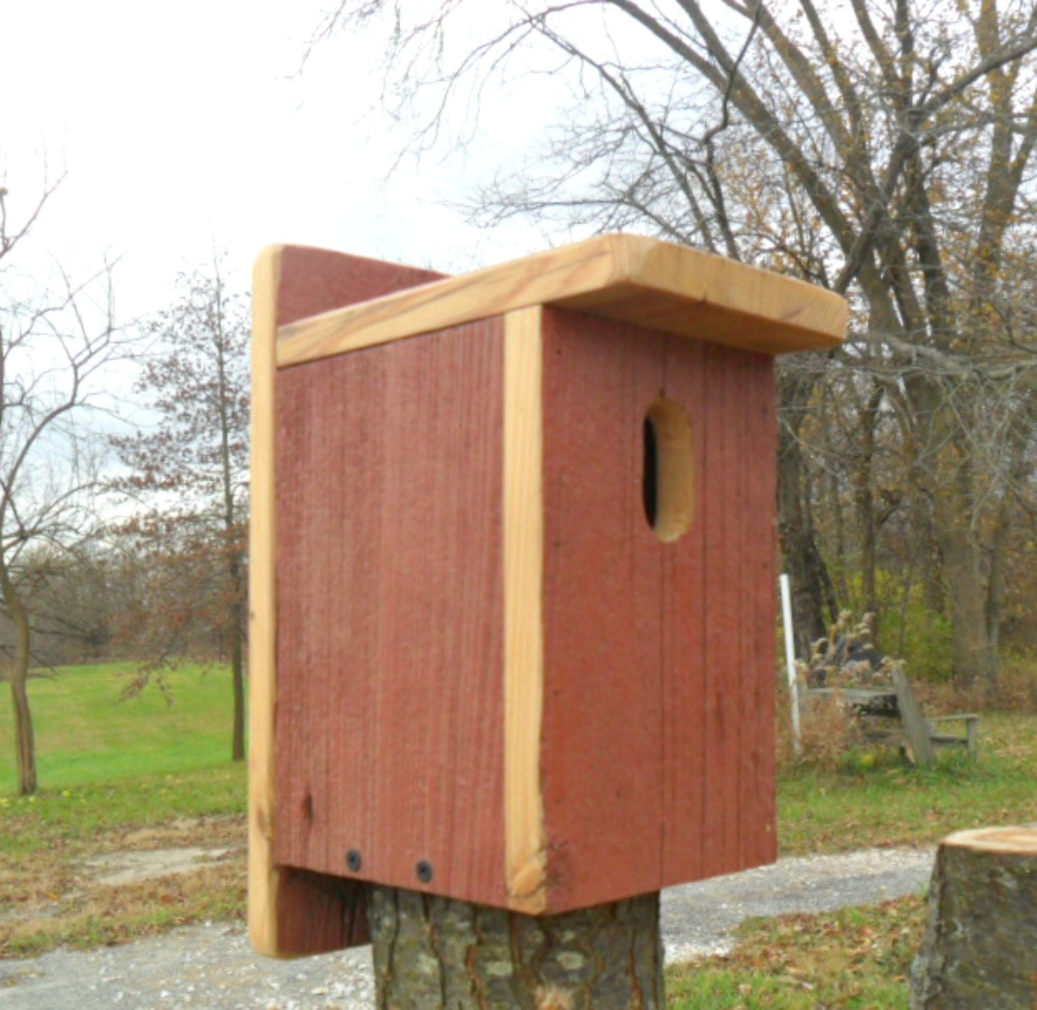 Outdoor Bluebird Birdhouse Rustic Wood Bluebird House Etsy