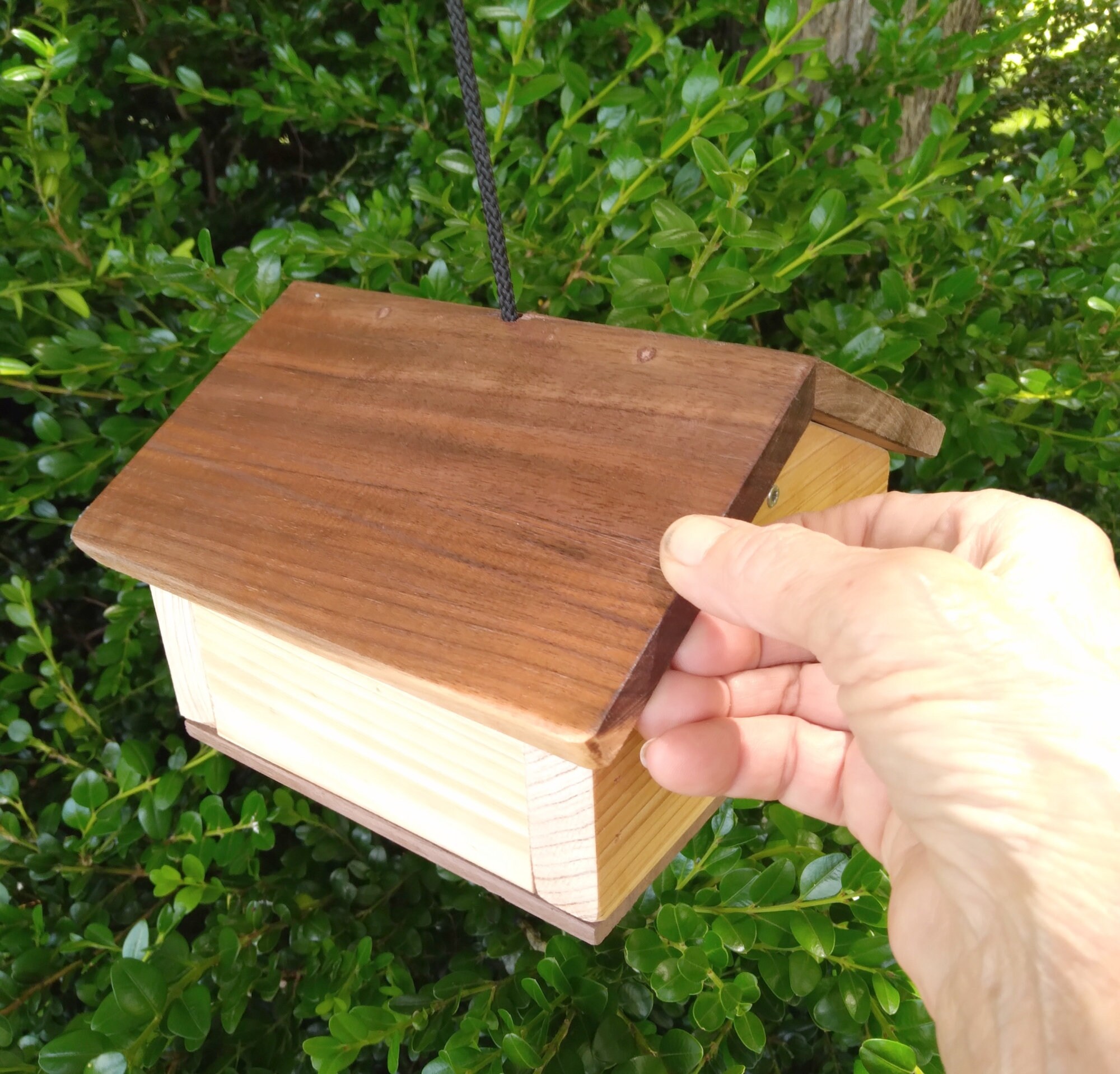 Hanging Suet Bird Feeder Suet Feeders for Clinging Birds Etsy