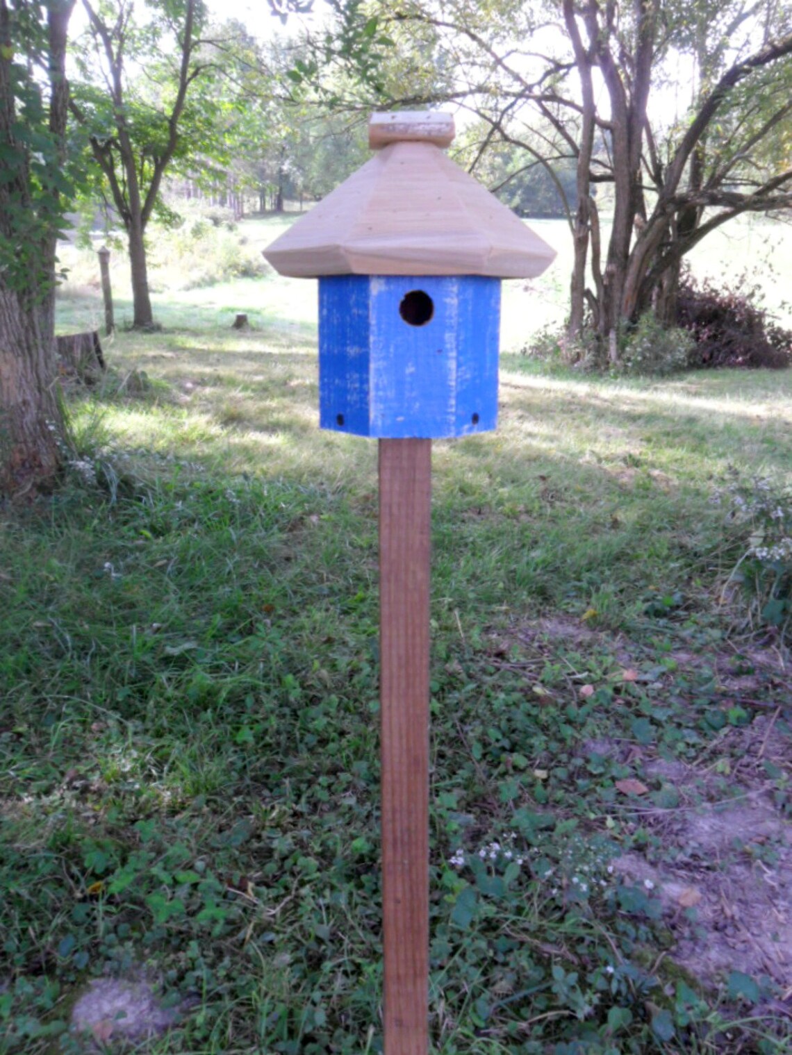 Rustic Birdhouse and Wood Pole Bird house on Pole Outdoor | Etsy