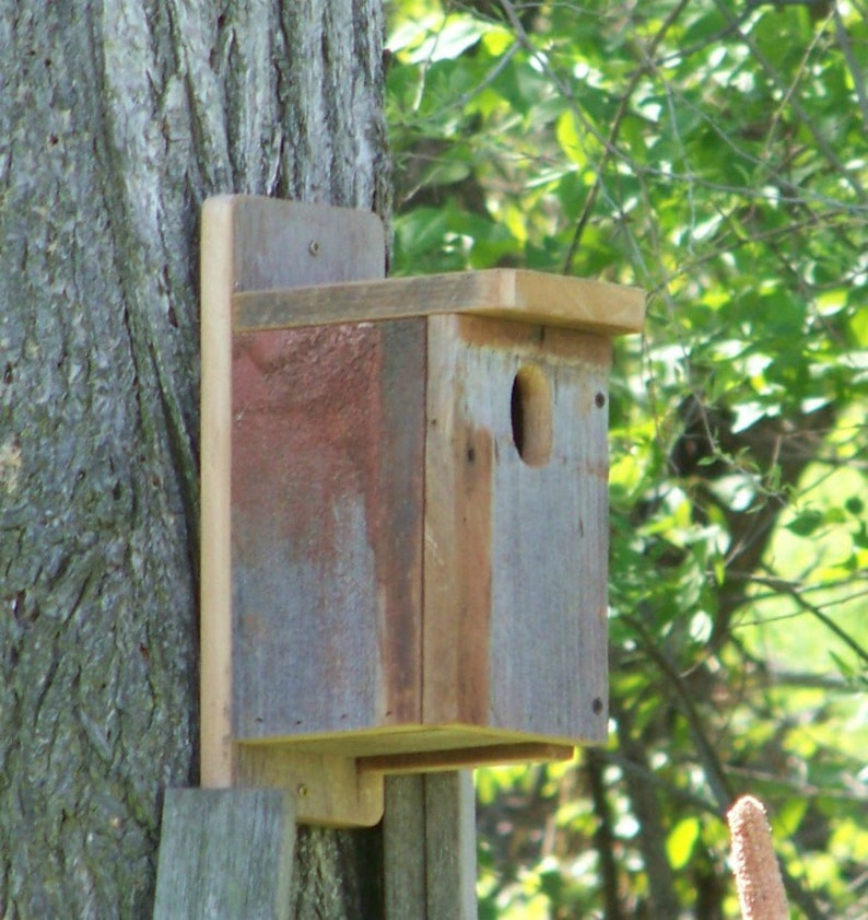 Outdoor Bluebird Birdhouse Rustic Wood Bluebird House Etsy