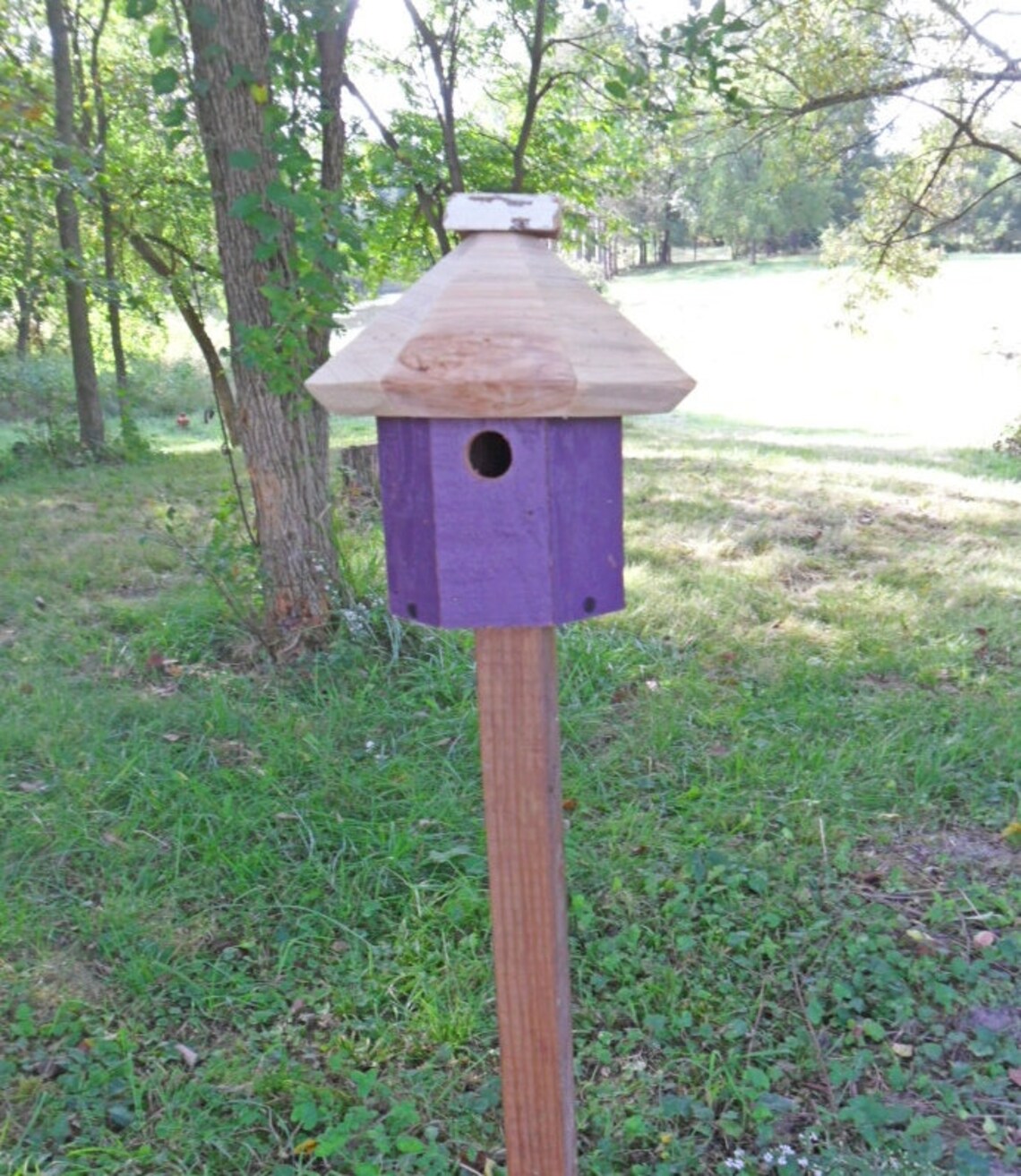 Rustic Birdhouse and Wood Pole Bird house on Pole Outdoor | Etsy