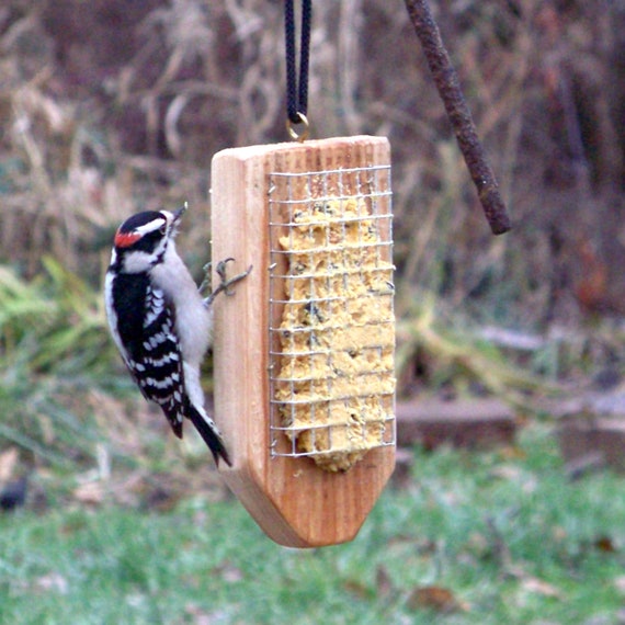 Bird Suet Homemade Fresh Spreadable Suet Woodpecker S Etsy