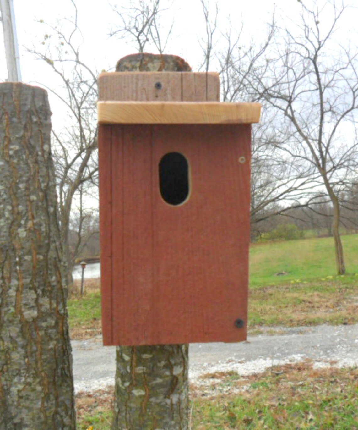 Outdoor Bluebird Birdhouse Rustic Wood Bluebird House Etsy