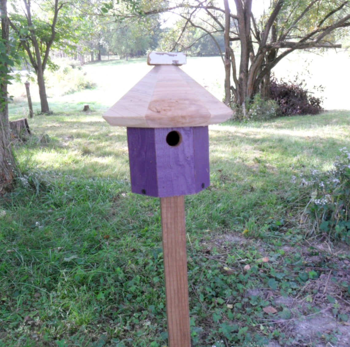 Rustic Birdhouse and Wood Pole Bird house on Pole Outdoor | Etsy