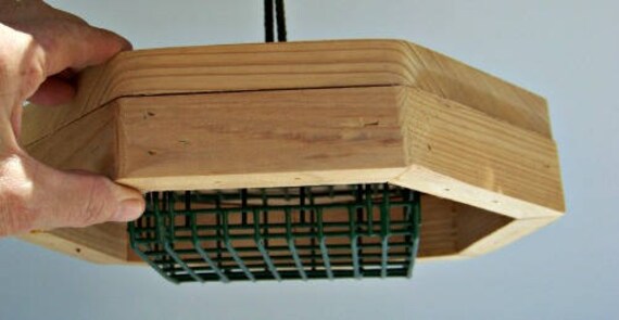 Feeder Wild Bird Hanging Hand Crafted Walnut Upside Down Suet Etsy