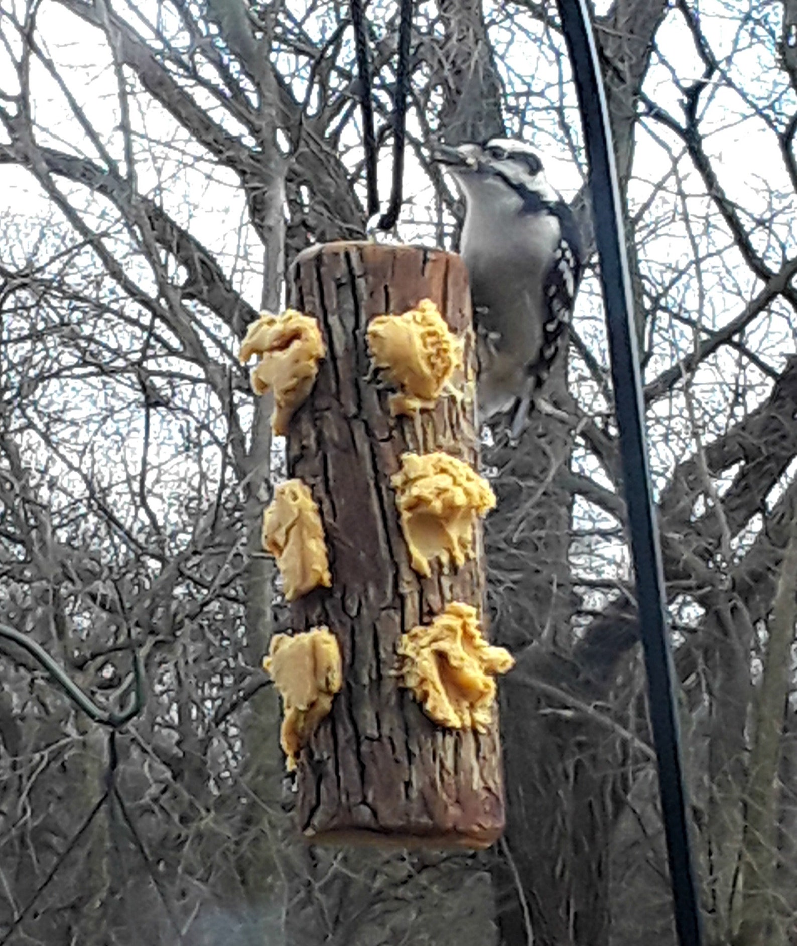Rustic Suet Bird Feeder Wooden Suet Bird Feeders Outdoor Etsy